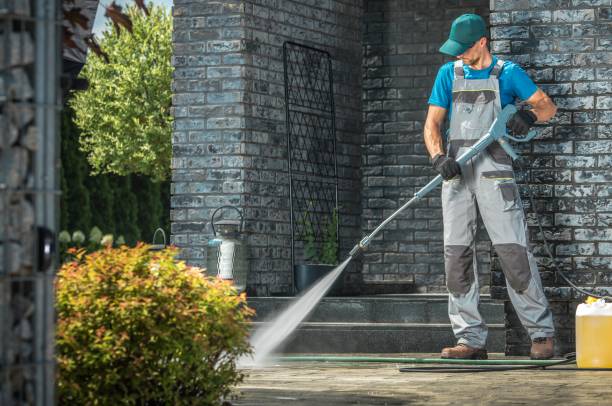 Best Solar Panel Cleaning  in Lake Alfred, FL